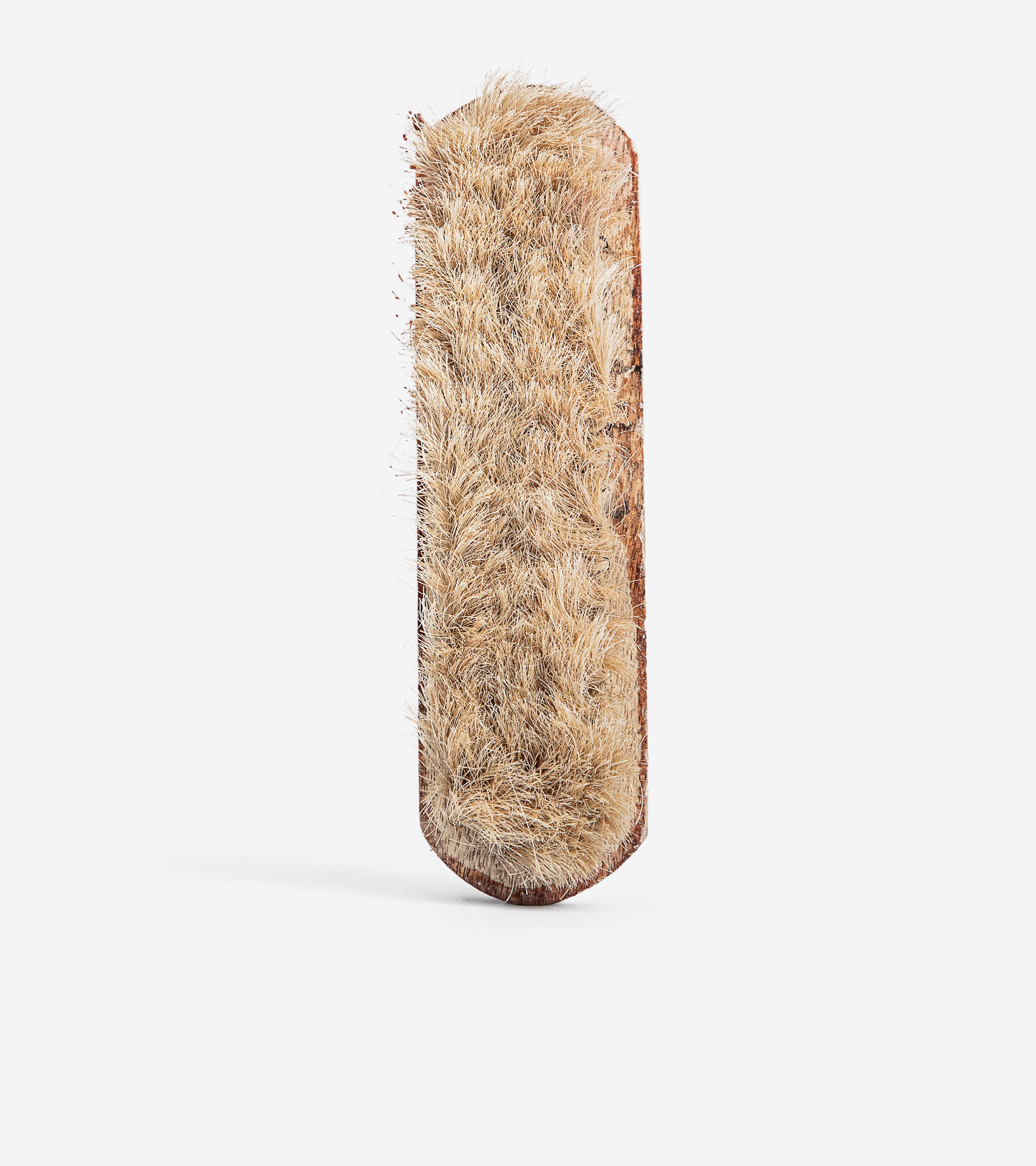 Shoe Brush US-AC-8301