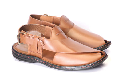PESHEWARI PW-0101